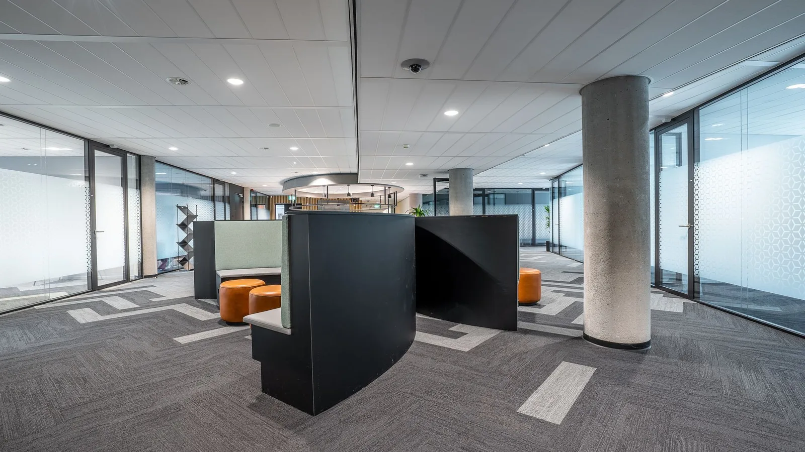 Modern commercial office interior fitout in New Zealand with architectural partitions, lighting, and workstations