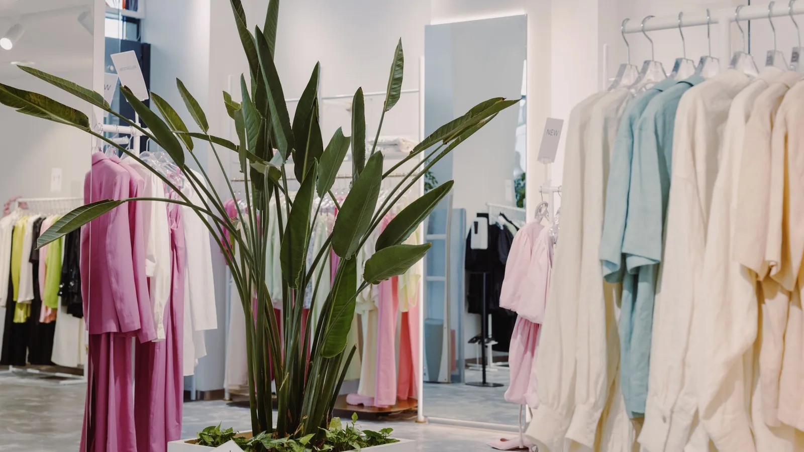Retail shop interior with bespoke clothing racks and boutique display fixtures in New Zealand