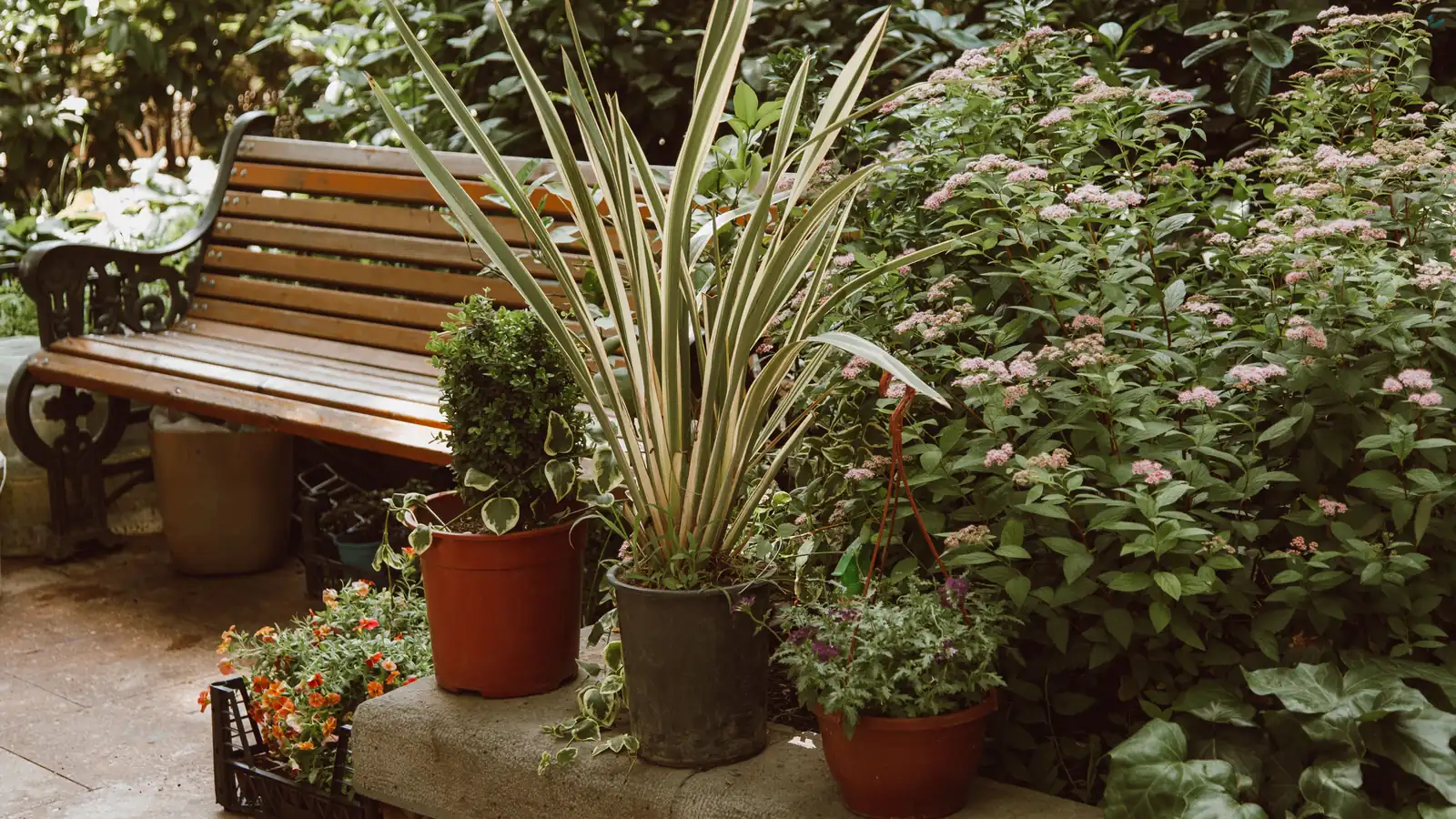 Small residential garden with potted plants near a wooden bench, representing personal-use projects that fall outside construction equipment financing