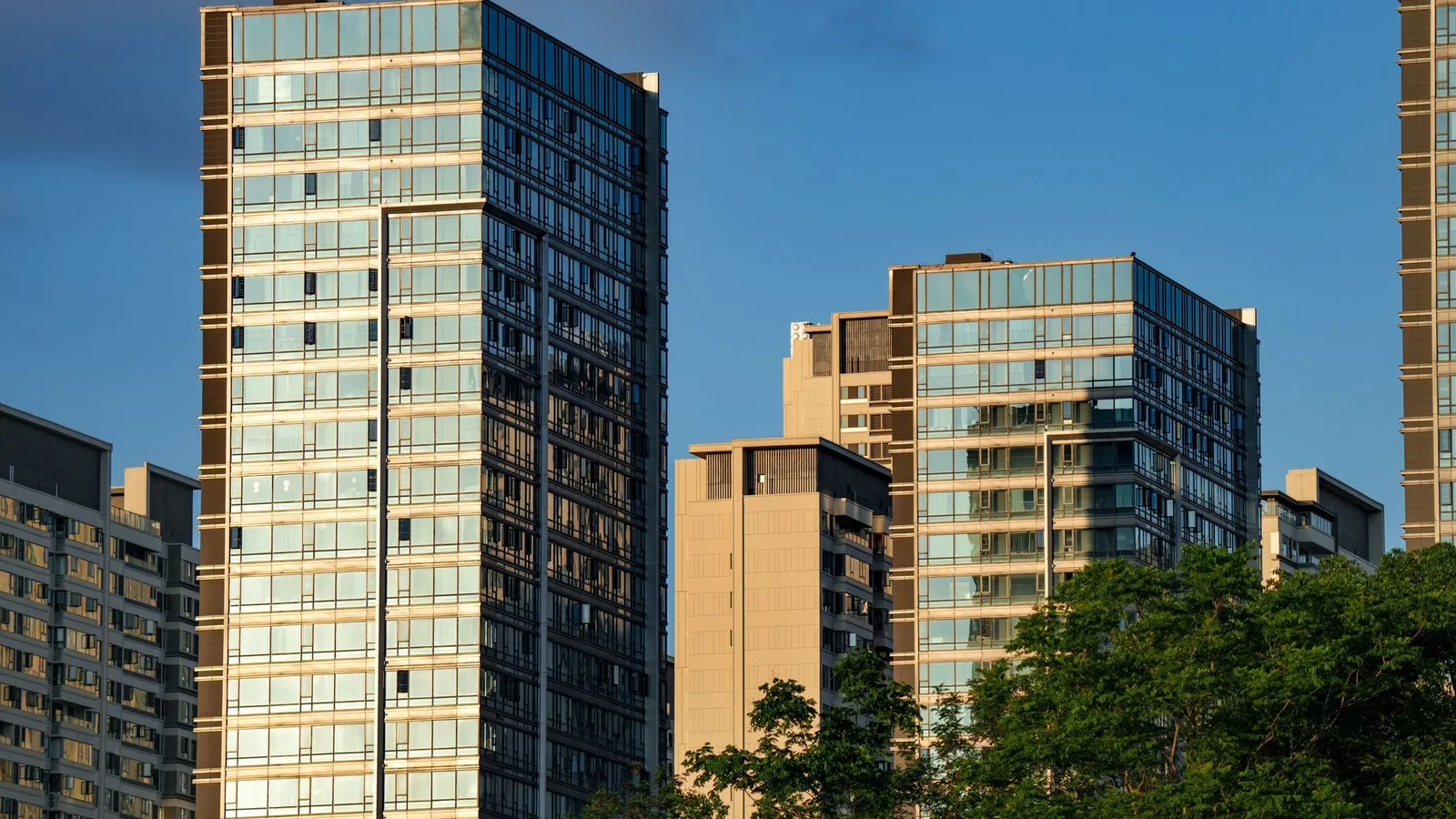 Modern commercial buildings in Auckland representing business finance options in New Zealand
