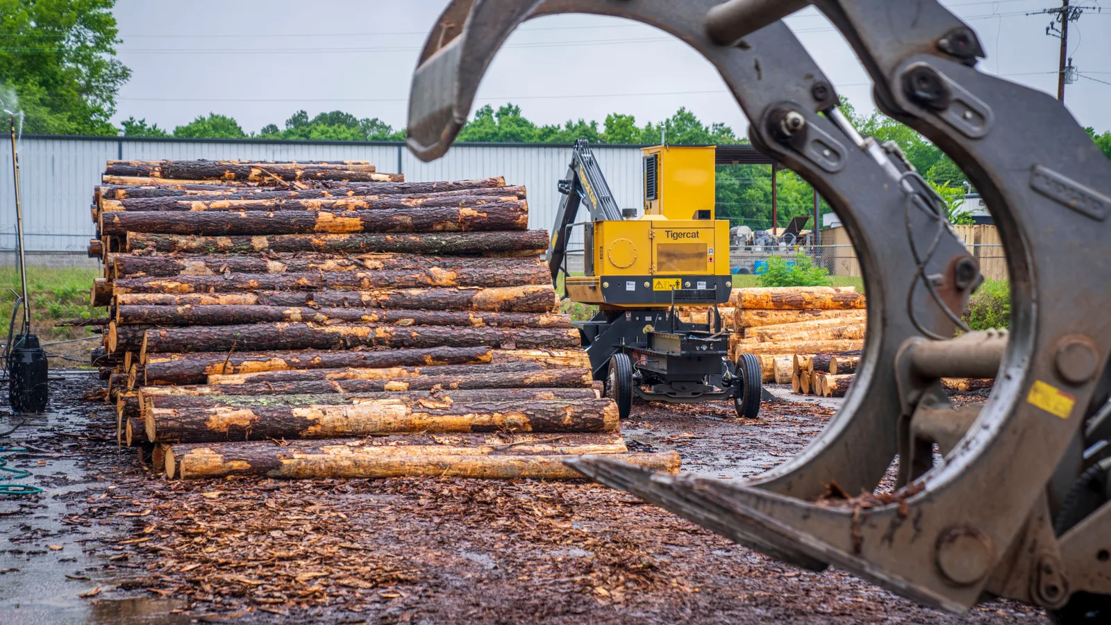Forestry loader stacking timber logs at a harvest landing, representing the contracts and operations assessed for log truck financing