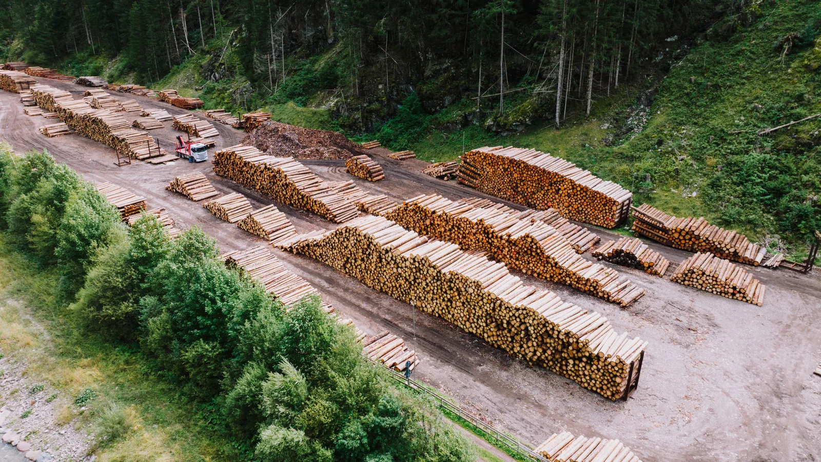 Aerial view of timber yard with stacked logs and plantation forest, illustrating seasonal cash flow structuring in forestry transport