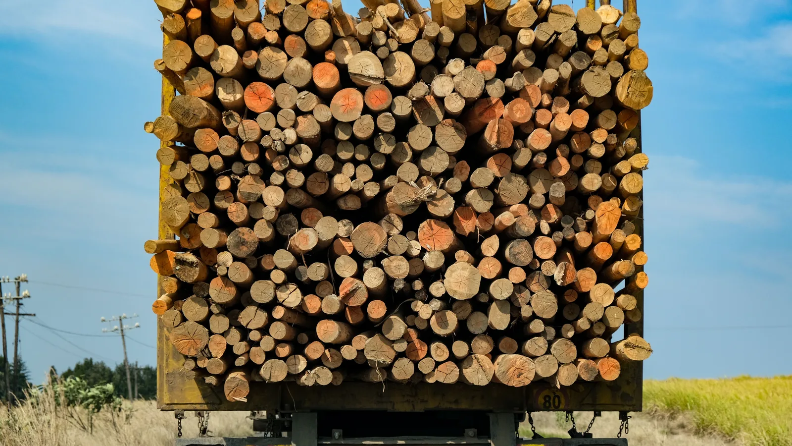 Heavy timber truck carrying logs on a rural New Zealand transport route, illustrating log truck financing in NZ