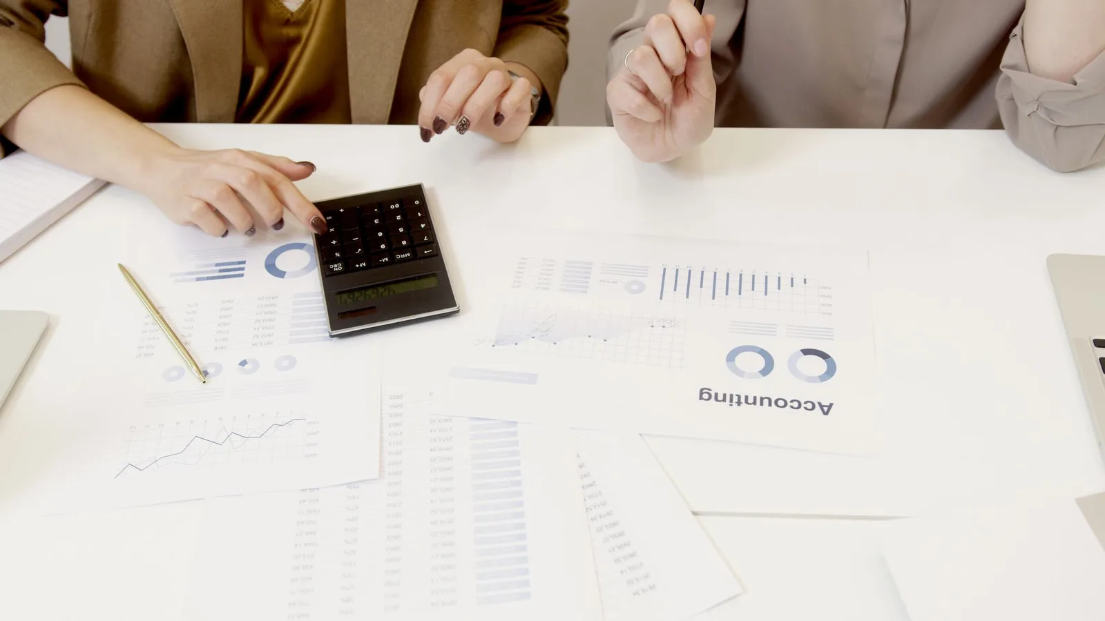 Accountant reviewing financial reports and statements on a laptop